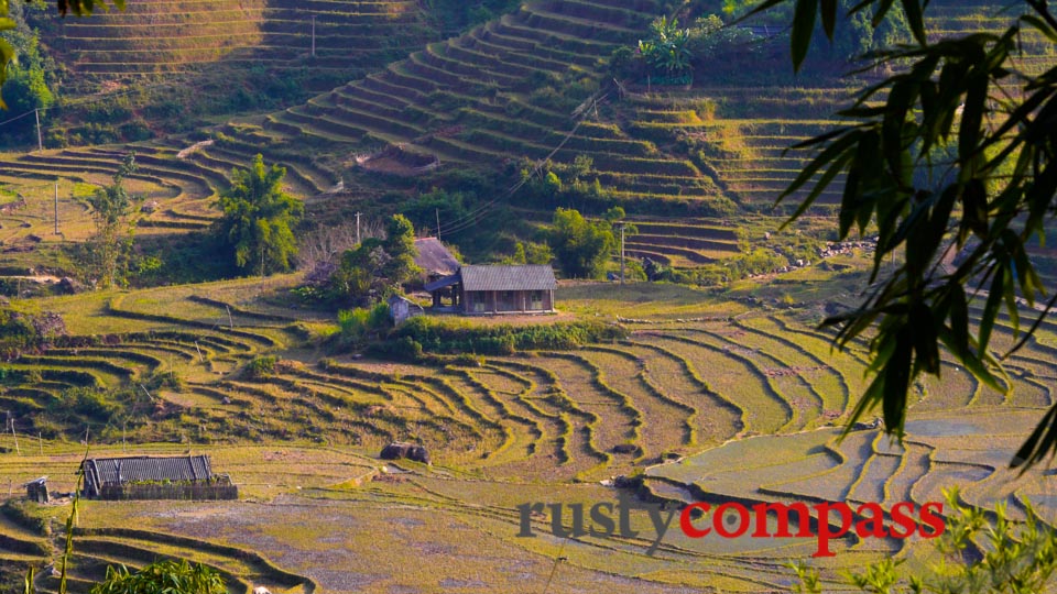 Sapa's rice terraces.